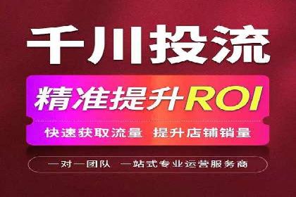 电商平台信息流广告的创意与优化：成功案例分析